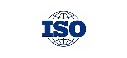 10006